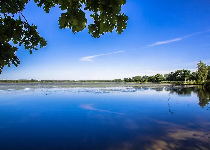 Blis לובלינייץ